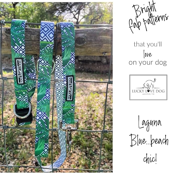 Lucky Love Dog Martingale Collar and Leash Set, Premium No Slip Martingale Collar for Large Boy Dogs, Great for Whippets, Greyhounds, and More (Large, Blue Laguna - Combo)