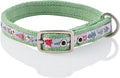 Adjustable Recycled Ribbon Dog Collar for All Pet Breeds, Piney Holiday, X-Large
