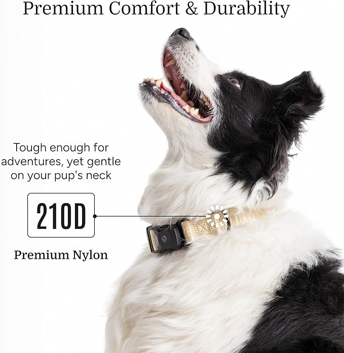 2026 New Edition, Fei & Eve MagEase Dog Collar - Patented Magnetic Buckles | Fur-Safe | Premium 210D Nylon | 450LB Escape-Proof | Adjustable Fit | Medium (Champagne)