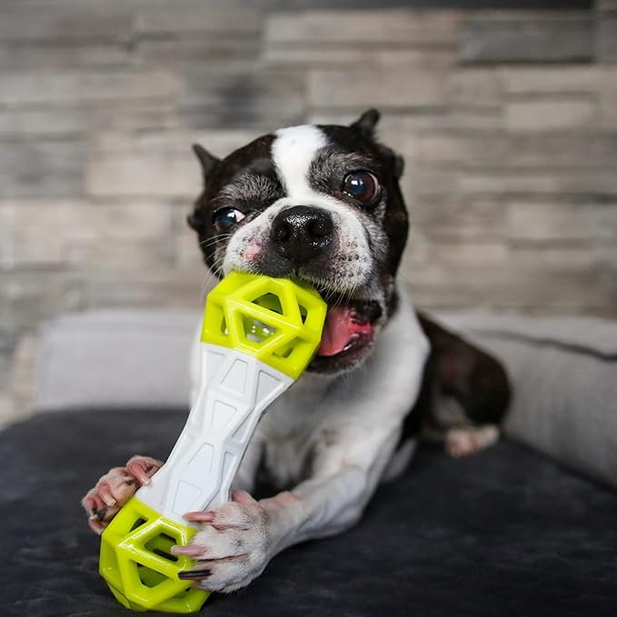 Messy Mutts Totally Pooched Flex n' Squeak Dumbbell | 7” Foam Rubber Dog Toy with Squeaker | Made for Tough Chewers | Interactive Treat Puzzle for Dogs | Grey/Teal