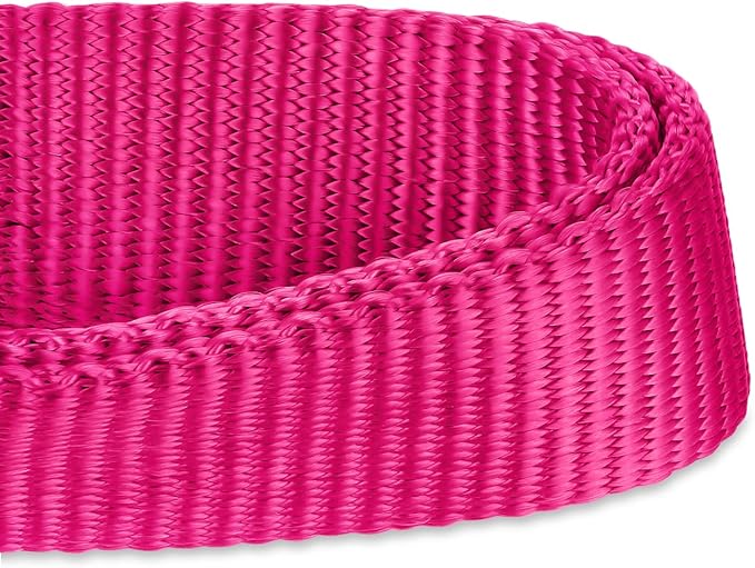Hyhug Small Dog Collar Quick-Release| Heavy-Duty Nylon Puppy Collar, Adjustable & Durable Pet Supplies for Boy & Girl Dogs (Small, Rose Red)