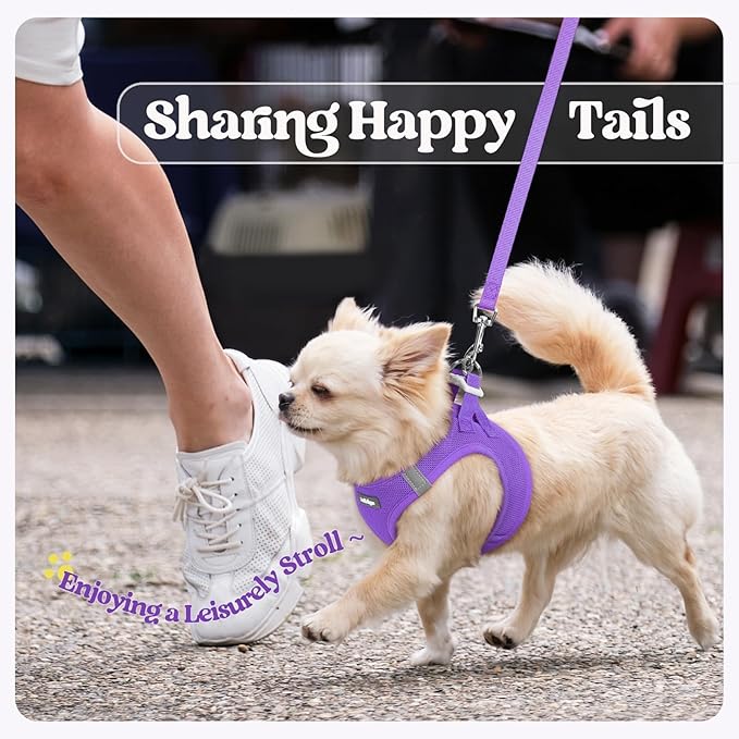 rabbitgoo Dog Harness Small Sized and Leash Set, Step in Soft Light Puppy Vest, Breathable Mesh Pet Harness, Reflective for Safe Outdoor Walking, Purple S
