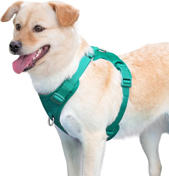No Pull Dog Harness for Small Medium Large Dogs - Adjustable 2 Layer Mesh Dog Vest with Dual Clip, Escape Proof, Quick Release, Lightweight Breathable Mesh for Walking Hiking (MARRS Green,L)