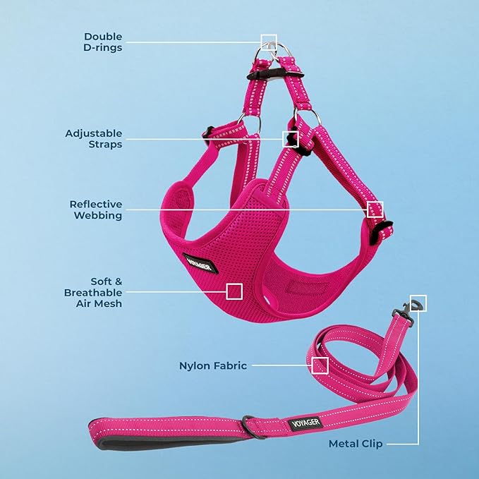Best Pet Supplies Voyager Adjustable Step-in Flex Breathable Mesh Dog Harness for Small Medium Large Dogs Leash Set (Fuchsia), S