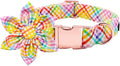 Lionet Paws Easter Dog Collar with Flower - Colorful Cute Cotton Flower Dog Cat Collar with Metal Buckle for Puppy Girl, XS, Neck 8-12in