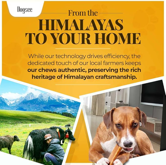 Dogsee Himalayan Yak Chews with Turmeric/Curcumin 3lb (XL - 9 Bars) | for Large Dogs | Dog Treats for Large Dogs | Help Alleviate Joint Pain | Rawhide-Free | Anti Inflamatory