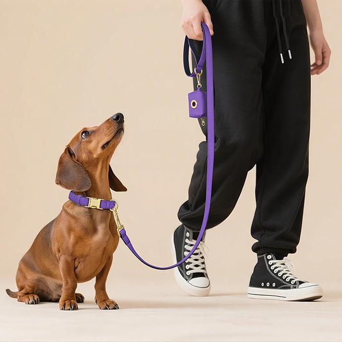 Didog Soft Padded Dog Collars for Medium Dogs, Colorful and Durable Dog Collar with Quick Release Buckle, Light and Breathable for Daily Walking, Purple, M