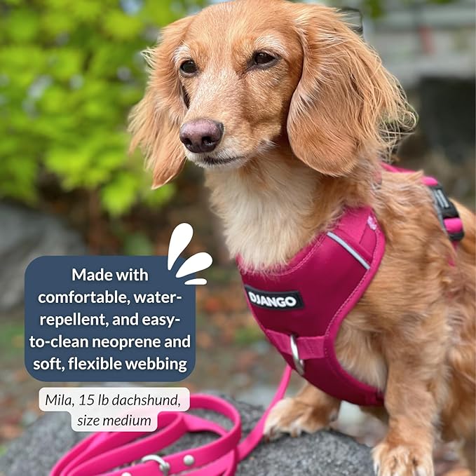 DJANGO Tahoe No Pull Dog Harness – Escape-Proof Dog Harness for Medium & Large Dogs w/Front & Back Clips for Everyday Use – Adjustable, Padded, Reflective, Secure, Easy On/Off – Hibiscus Pink, Large