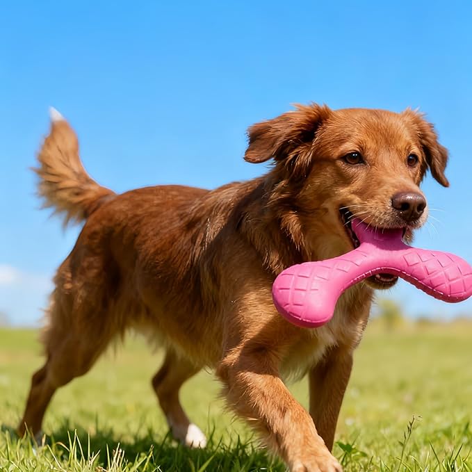 Ultra Durable Tri-Prong Dog Chew Toy for Teeth Cleaning - Non-Toxic Rubber Interactive Tug of War & Fetch Toy for Medium & Large Dogs((Red)
