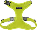 Voyager Step-in Pet Harness - All Weather Mesh, Adjustable Step in Harness for Cats and Dogs by Best Pet Supplies - Lime Green, XS