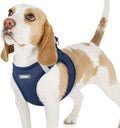rabbitgoo Small Dog Harness, Step-in Soft Mesh Puppy Vest with Safety Buckle, Breathable Reflective Pet Harness for Small Sized Dogs, Navy Blue M