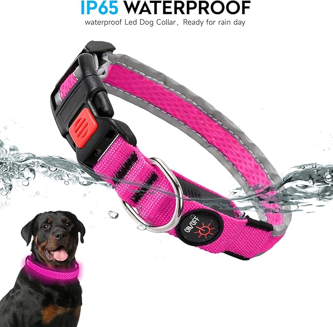 LED Dog Collar, Light Up Dog Collar USB Rechargeable, Nylon Adjustable Comfortable Soft Bright RGB 7 Colors Changeing Safety Light Glowing Collar for Medium and Large Dogs(Medium,Pink)