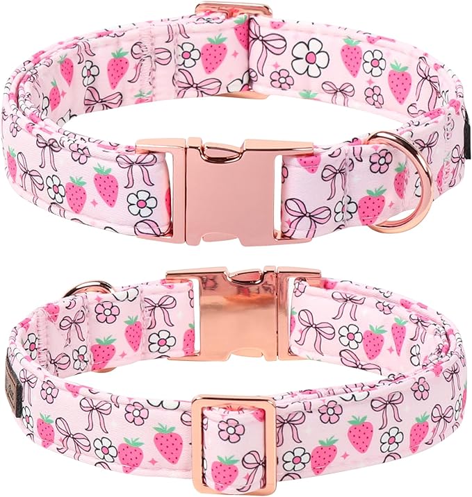 Lionet Paws Strawberry Floral Dog Collar with Sailor Bow, Spring Pink Bow Dog Collars Bow Tie for Puppies, XS, Neck 8-12 inches