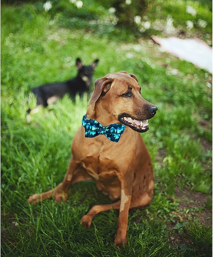 Lionheart glory Dog Bow Collar Green Spring Summer Cute Collars for Small Dogs, Soft Duty Adjustable Dog Collar with Bowtie Pet Collars Bows Pet Gift