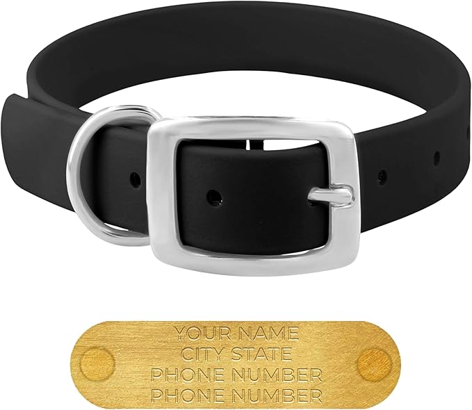 Regal Dog Products Large Black Waterproof Dog Collars with Custom Engraved Name Plate | Vinyl Coated, Anti, Easy to Clean Personalized Biothane Dog Collar - Other Sizes for Small & Medium Dogs