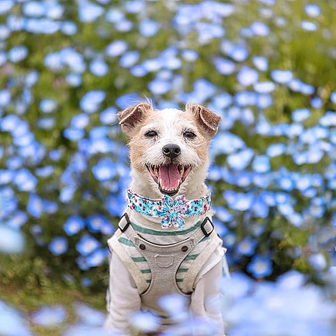 Elegant little tail Dog Collar with Flower, Pink Rose Print Pet Collar Flower Pet Collars Summer Cute Adjustable Dog Collars for X-Large Dogs
