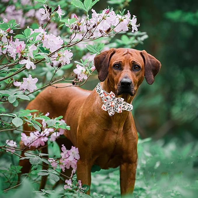 Elegant Little Tail Pink Flower Dog Collar with Bowtie, Spring Flower Cute Pink Pet Collar Bow, Adjustable Dog Collar for Large Dogs