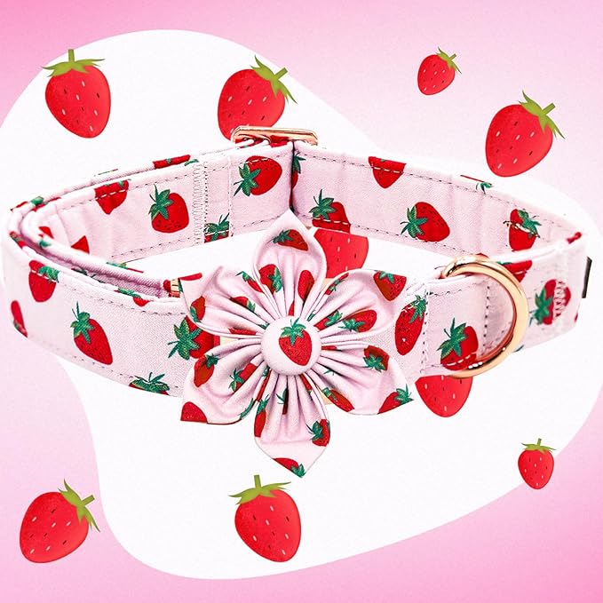 Elegant little tail Dog Collar with Flower, Strawberry Print Pet Collar Flower Pet Collars Summer Cute Adjustable Dog Collars for X-Small Dogs