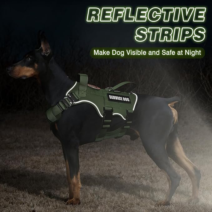 Service Dog in Training Vest and Leash Set with 10 Patches,Heavy Duty Tactical Dog Harness with Metal Buckles for Medium Sized Dogs,No Pull Easy Walking for Training Working Hiking,Green M