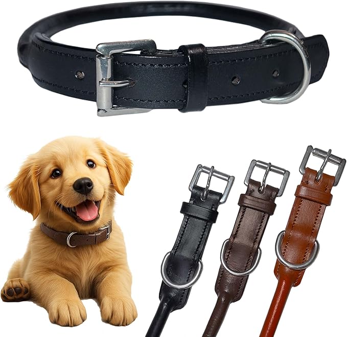 SIE Rolled Leather Dog Collars (10'', Black)