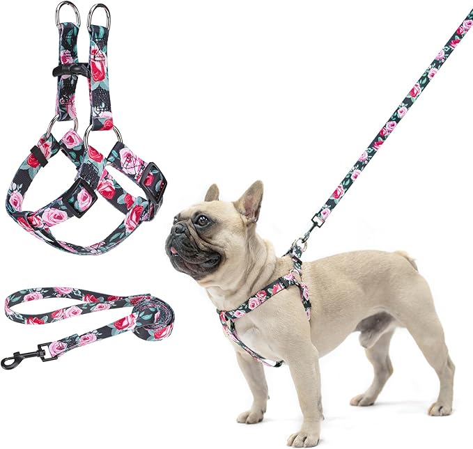 BEAUTYZOO No Pull Dog Harness and Leash Set - Adjustable Step-in Puppy Harness for Small Medium Large Dogs, Escape Proof Soft Nylon Vest with Double D Ring for Walking Running Training, Black XS