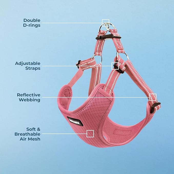 Best Pet Supplies Voyager Adjustable Step-In Flex Breathable Mesh Dog Harness for Small Medium Large Dogs (Pink), M