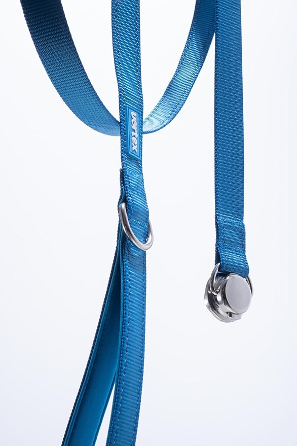 Dog Harness and Leash Combo Set, Magnetic Connection, Ergonomic Design (Bahama Blue, Small)