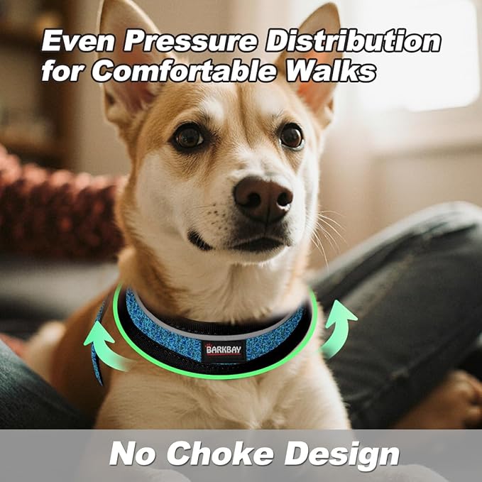 Dog Harness and Leash Set,Step in Small Sized Dog Harness,Soft Mesh,No-Chock,Reflective Adjustable,Secure with Hook & Loop Fastener,Puppy Vest for Small,Medium Dogs(Blue/Black,XXS)