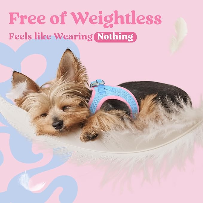 rabbitgoo Small Dog Harness, Step-in Soft Mesh Puppy Vest with Safety Buckle, Breathable Reflective Pet Harness for Small Sized Dogs, Blue & Light Pink XS