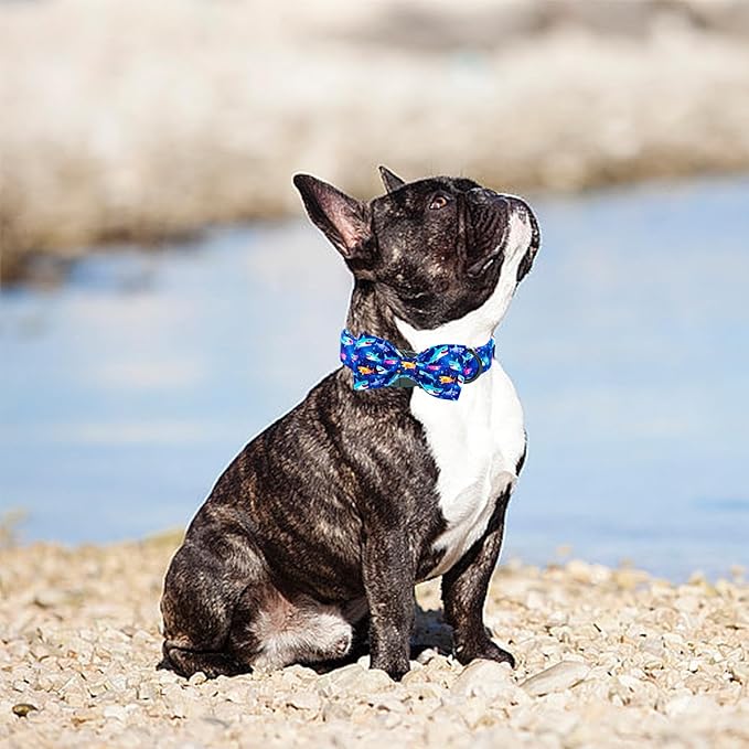 Elegant little tail Dog Collar- Cute Shark Dog Collar with Bow for Small Puppy, Male Adjustable Cotton Summer Pet Holiday Puppy Collar for Small Medium Large Dogs
