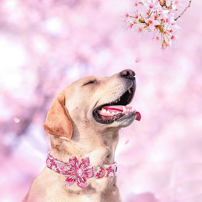 Elegant Little Tail Girl Dog Collar with Flowers - Pink Floral Pattern, Adjustable for X-Large Dogs