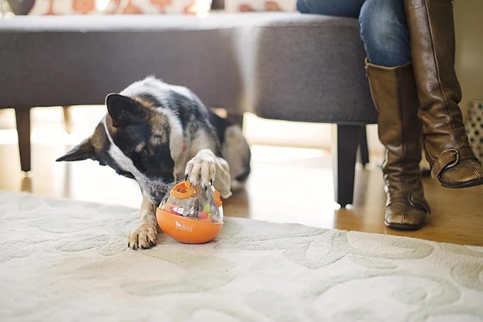 Wobble Ball Interactive Food & Treat Dispensing Puzzle Toy for Puppies & Dogs - Slow Feeder, Mental Enrichment, Forage Skills, Training, Relieves Boredom - Dishwasher Safe, Easy Clean (Pumpkin Orange)