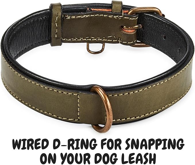 Real Leather Dog Collar Padded Soft Interiors with Premium Vintage Look Handcrafted Heavy Duty with Tag Ring for Small Medium and Large Pets (Medium (1.25" Wide for 13.5" - 17.5" Neck), Olive)