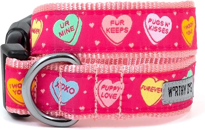 THE WORTHY DOG Adjustable Holiday Dog Collar for Medium Dogs, Durable Nylon Webbing, Quick Release Buckle, Puppy Love Conversation Hearts Valentine's Day Pattern, Pink, Medium