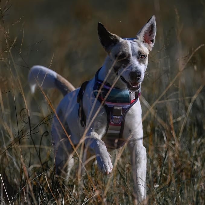 Embark Adventure Dog Harness, Reflective Trim No Pull Dog Harness for Large Dogs - Military Grade Nylon, Front Clip Dog Harness with Gel Lined Handle. Soft & Padded Puppy Dog Harnesses for Any Breed