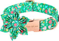 Unique style paws St. Patrick's Day Dog Collar with Flower Tie Rainbow Clover Heart Puppy Collar for Small Medium Large Boys Girls-XL
