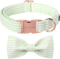 ARING PET Dog Collars with Bow, Green Stripe Adjustable Bowtie Pet Collar with Metal Buckle for Small Medium Large Boy Girl Dogs-M