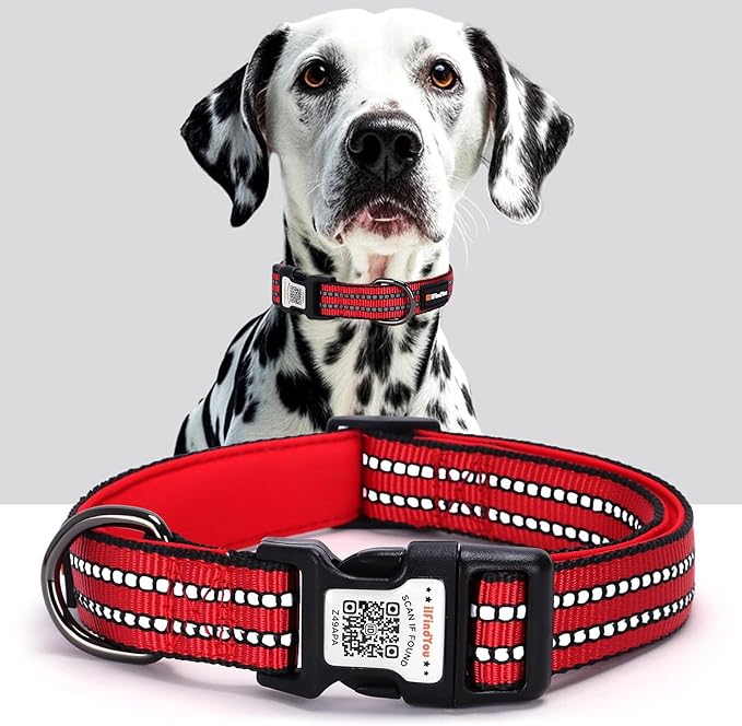 Reflective Dog Collar with QR Code Tag, Personalized Dog Collar, Safety Night Visibility, Anti-Loss Function (Red, Small)