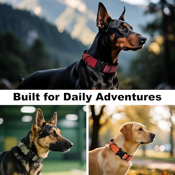 Plutus Pet Tactical Dog Collar with Tracker Pocket for AirTag, Adjustable Reflective Nylon Collar, Metal Buckle, Leather-Wrapped Handle, Soft Padded for Medium Large Dogs (Blue, L)