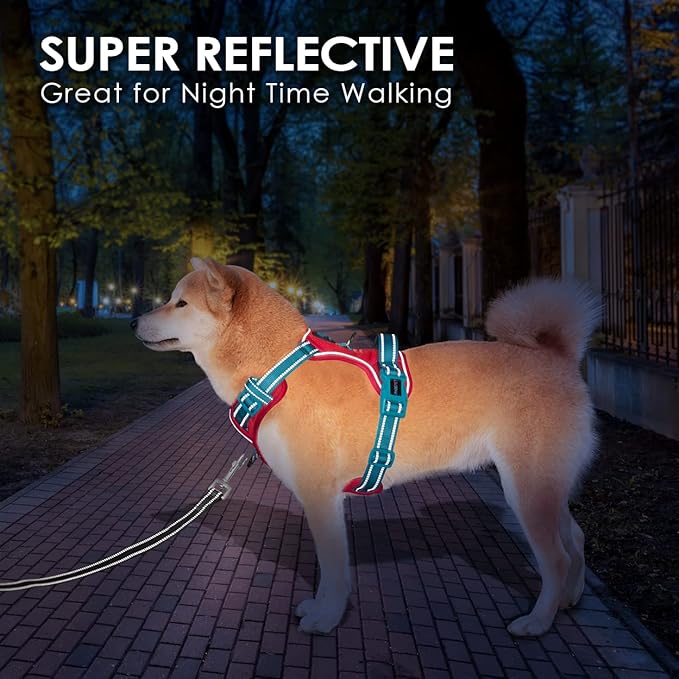 PHOEPET No Pull Dog Harness, Unique Colors Reflective Adjustable Dog Vest, with Soft Training Handle Metal Clips for Small Medium Large Dogs (Red Base & Teal Straps,XL)