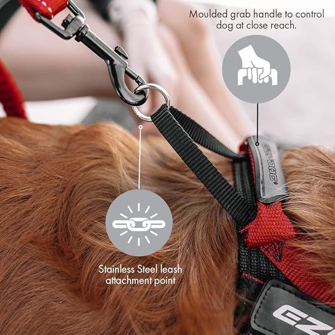 EzyDog Express Dog Harness - Adjustable Dog Harness for Large, Medium, and Small Dogs with Padded Ergonomic Anti-Chafing Design, Grip Handle, & Easy Side Buckle (XS, Red)