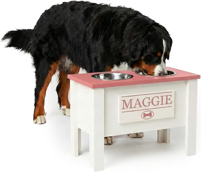 GTW Personalized Elevated Dog Bowl Stand for Large, Medium, Small, X-Small Dogs - Stainless Steel Food and Water Bowls - Raised Dog Dish (X-Large, Magenta)