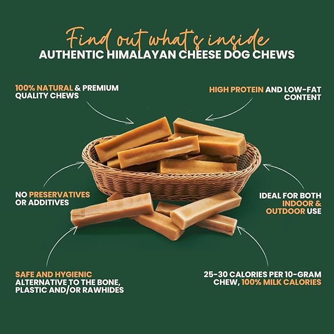 Authentic Himalayan Yak Cheese for Dogs - XLarge (Pack of 6) - Sourced from Pristine Himalayan Foothill, Rawhide-Free, NO preservatives