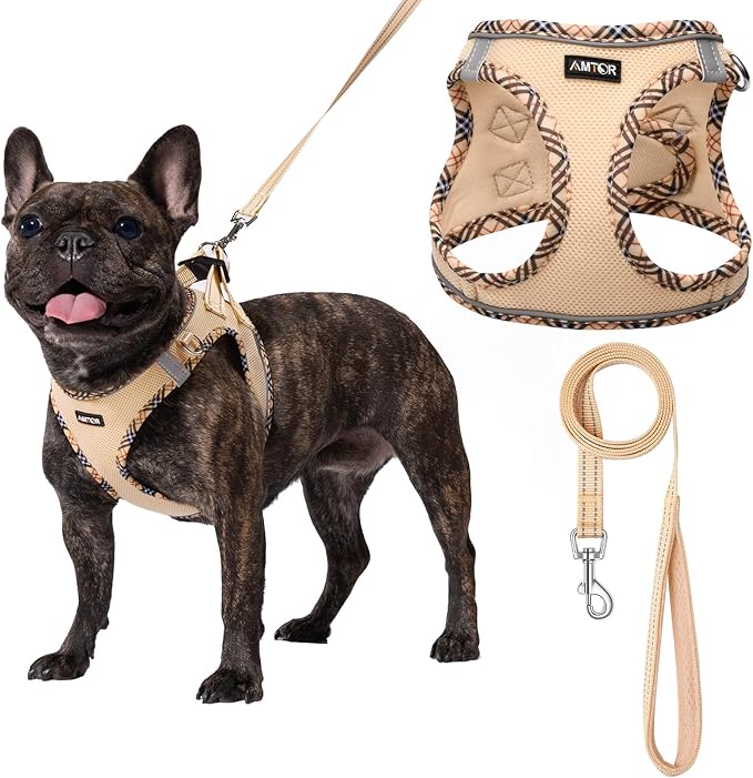 AMTOR Small Dog Harness with Leash Set, No Escape Easy Walk Puppy Harnesses for Training Walking, Step-in Reflective Soft Dogs Vest for XS S Medium Extra-Small Large Sized Dog(Beige,XL)