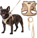 AMTOR Small Dog Harness with Leash Set, No Escape Easy Walk Puppy Harnesses for Training Walking, Step-in Reflective Soft Dogs Vest for XS S Medium Extra-Small Large Sized Dog(Beige,XL)
