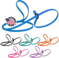 Dogline Biothane Slip Dog Leash - for Small, Medium and Large Dogs - Odor Free Slip Lead, Heavy Duty and Durable Material Kennel Lead - Cerulean Blue - 5ft L x 3/8in W