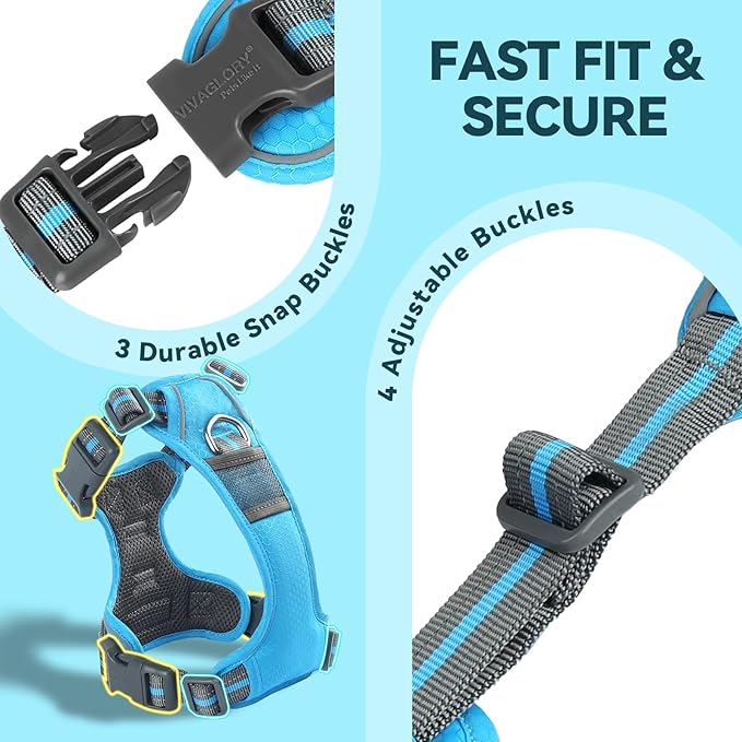 VIVAGLORY Dog Harness Easewalk No Pull Dog Harness with Handle Front Clip & Back Clip for Training Walking Lifting, No Pull Adjustable Easy On Padded Comfortable for Pet, XS, Sky Blue - Patterned