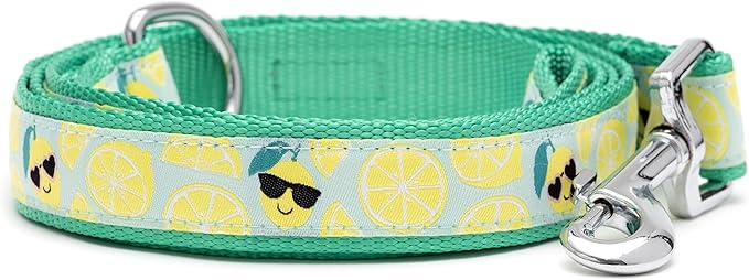 THE WORTHY DOG Lemons Patterned Nylon Leash for Dogs, Stylish, Durable, Woven Ribbon - Lemon Green, Small
