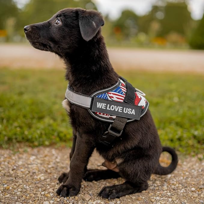 Personalized No-Pull Dog Harness with Name Patch, Adjustable, Reflective, Padded, Heavy Duty Pet Vest to Prevent Tugging, Pulling, or Choking, Training and Walking, Motorsport, M