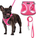 AMTOR Small Dog Harness with Leash Set, No Escape Easy Walk Puppy Harnesses for Training Walking, Step-in Reflective Soft Dogs Vest for XS S Medium Extra-Small Large Sized Dog(Fuchsia,S)